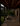 Rain Harvest Home Extraordinary