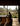 Rain Harvest Home Extraordinary