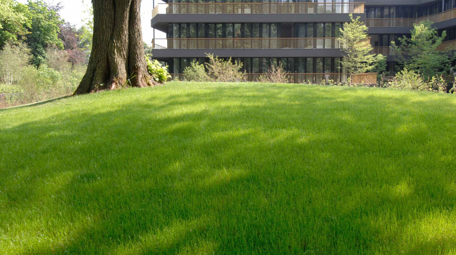 Parc Du Hamoir Bruxelles