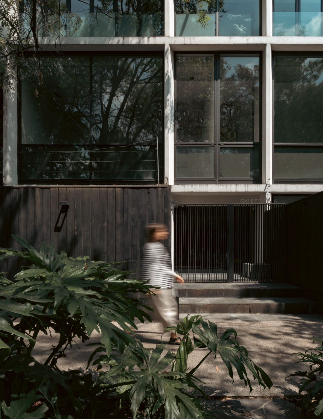 Design Project In Mexico