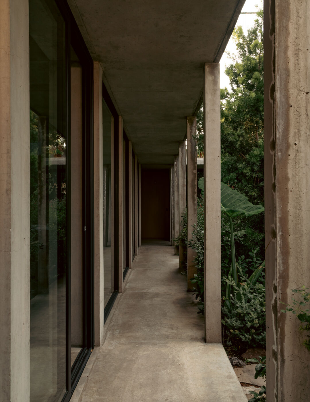 Design Project In Mexico