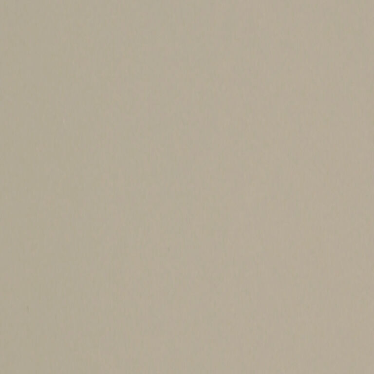 CAMOSCIO