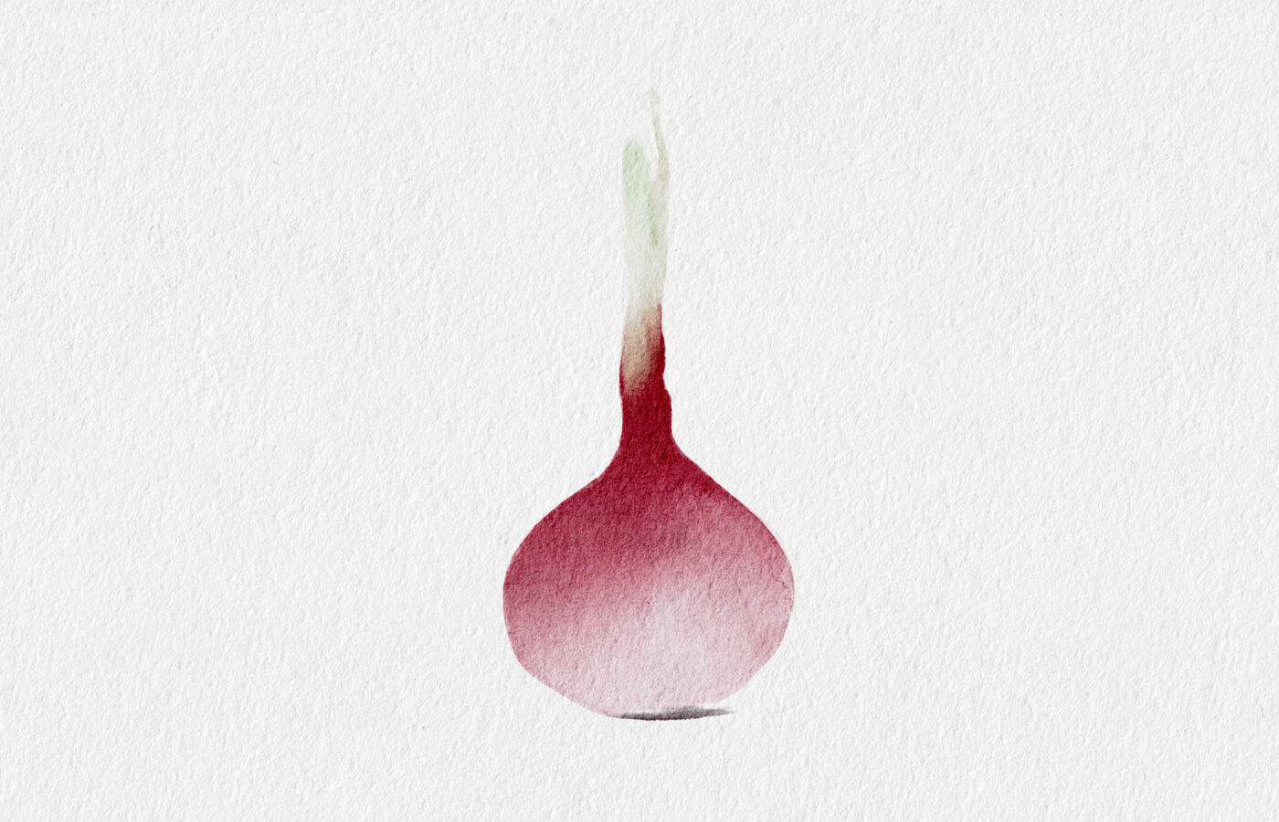 Watercolor illustration of a red onion with a pale green sprouting stem on a textured white background