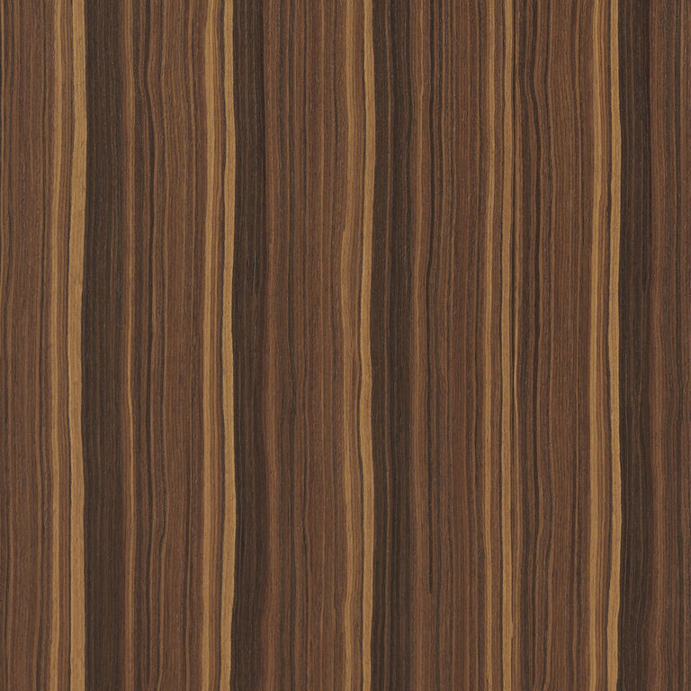 Eucalyptus arclinea texture