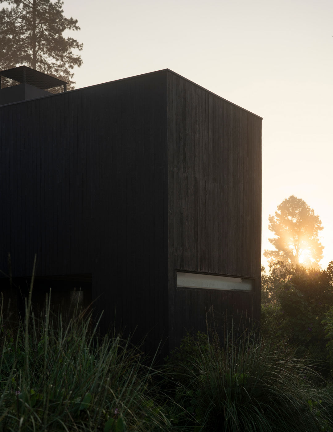 Rain Harvest Home Extraordinary